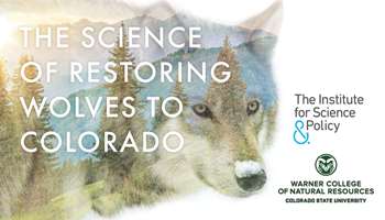 Image for event The Science of Restoring Wolves to Colorado