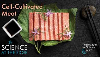 Image for event Science at the Edge: Lab-Grown Meat