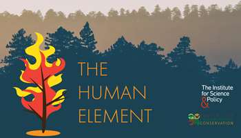 Image for event Forests, Fires, and People: The Human Element